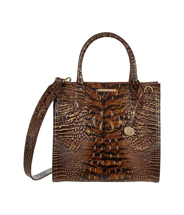 Brahmin Ombre Melbourne Caroline Satchel