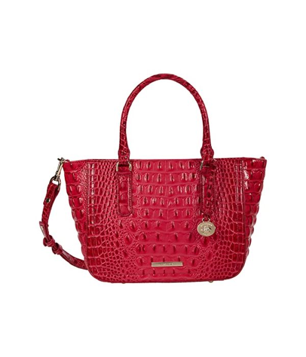 Brahmin Ombre Melbourne Small Ashlee Satchel